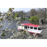 3250_P4210085 Ein Alsterschiff fährt in die Aussenalster ein, blühende Kirschzweige. | Alsterschiffe - Fahrgastschiffe auf der Alster und den Hamburger Kanälen.